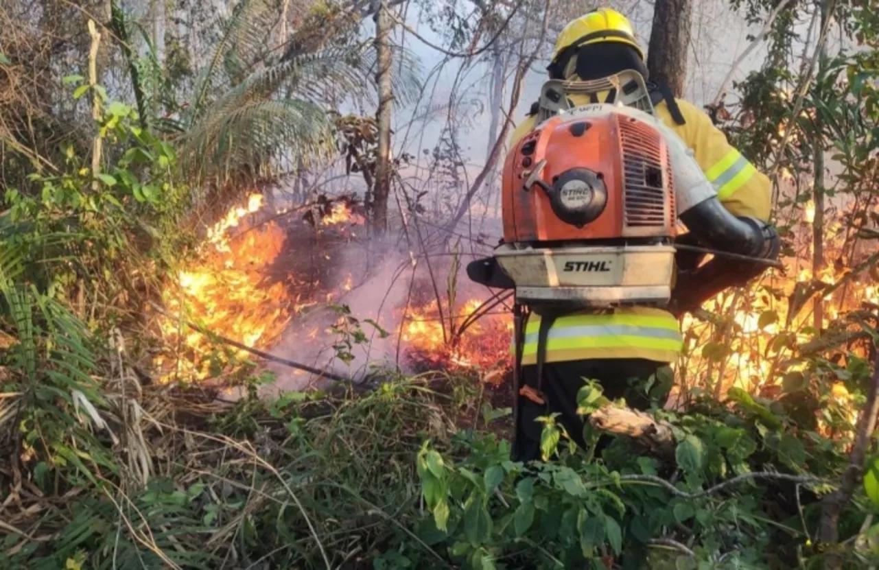 Tragédia Ambiental: Incêndio Devasta Morro do Pai Inácio, na Chapada Diamantina