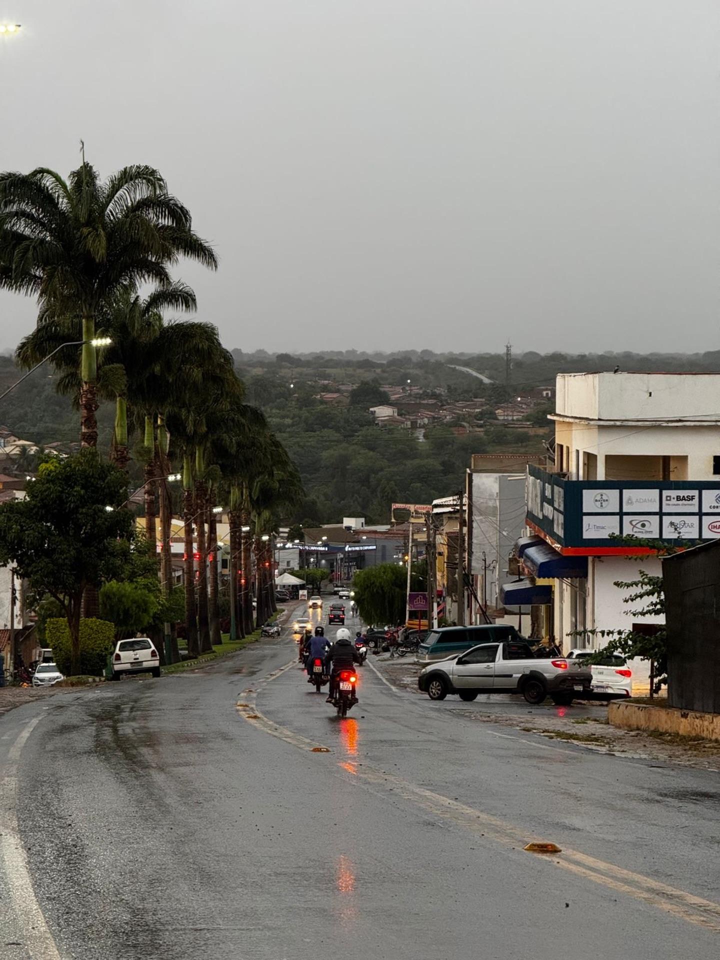 Navegue pela Categoria de Canarana