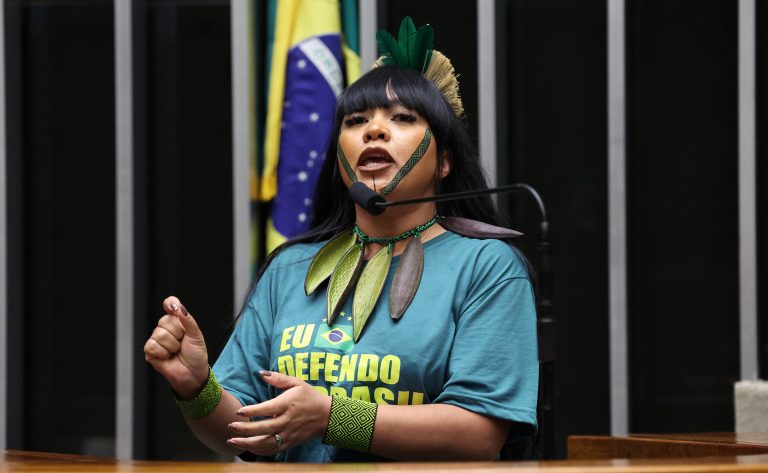 Comissão aprova programa de incentivo à exportação sustentável da moda brasileira com foco em sociobiodiversidade