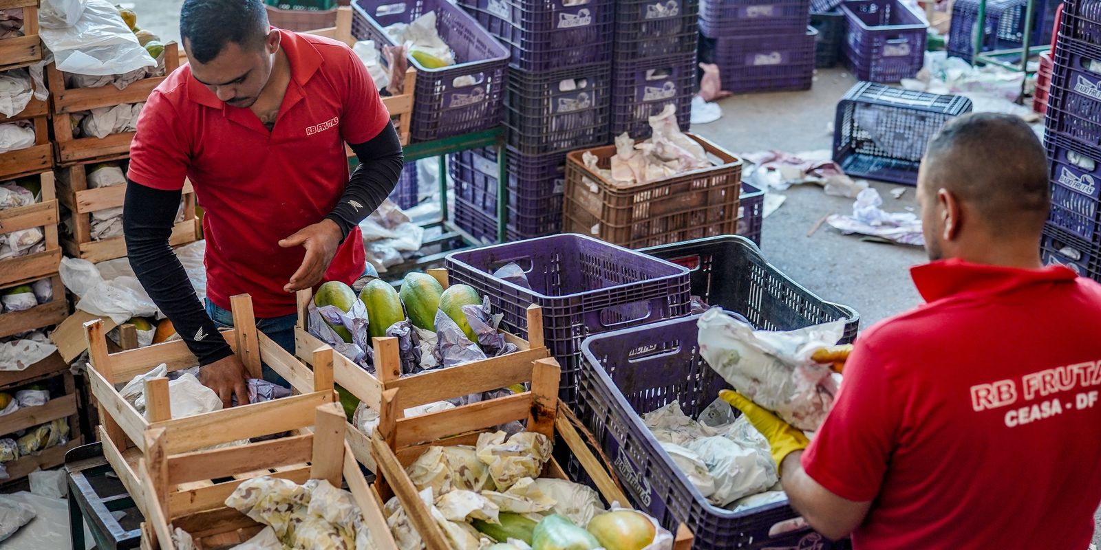 Governo libera R$ 97,3 bilhões em financiamento para a agricultura familiar no novo Plano Safra