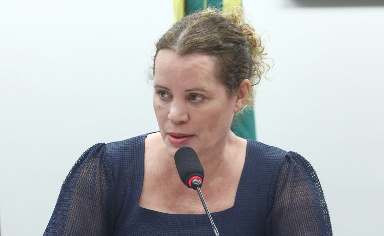 Câmara dos Deputados aprova novas diretrizes para exames de pré-natal na rede pública