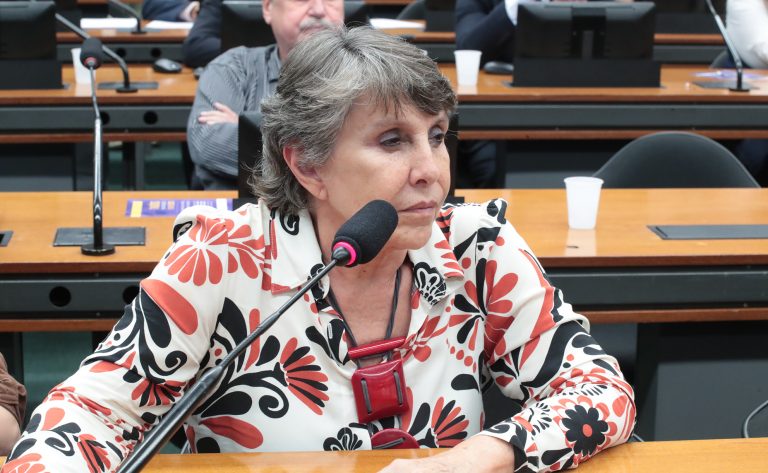 Comissão da Câmara debate a relevância de dados oficiais para a população LGBTQIA+