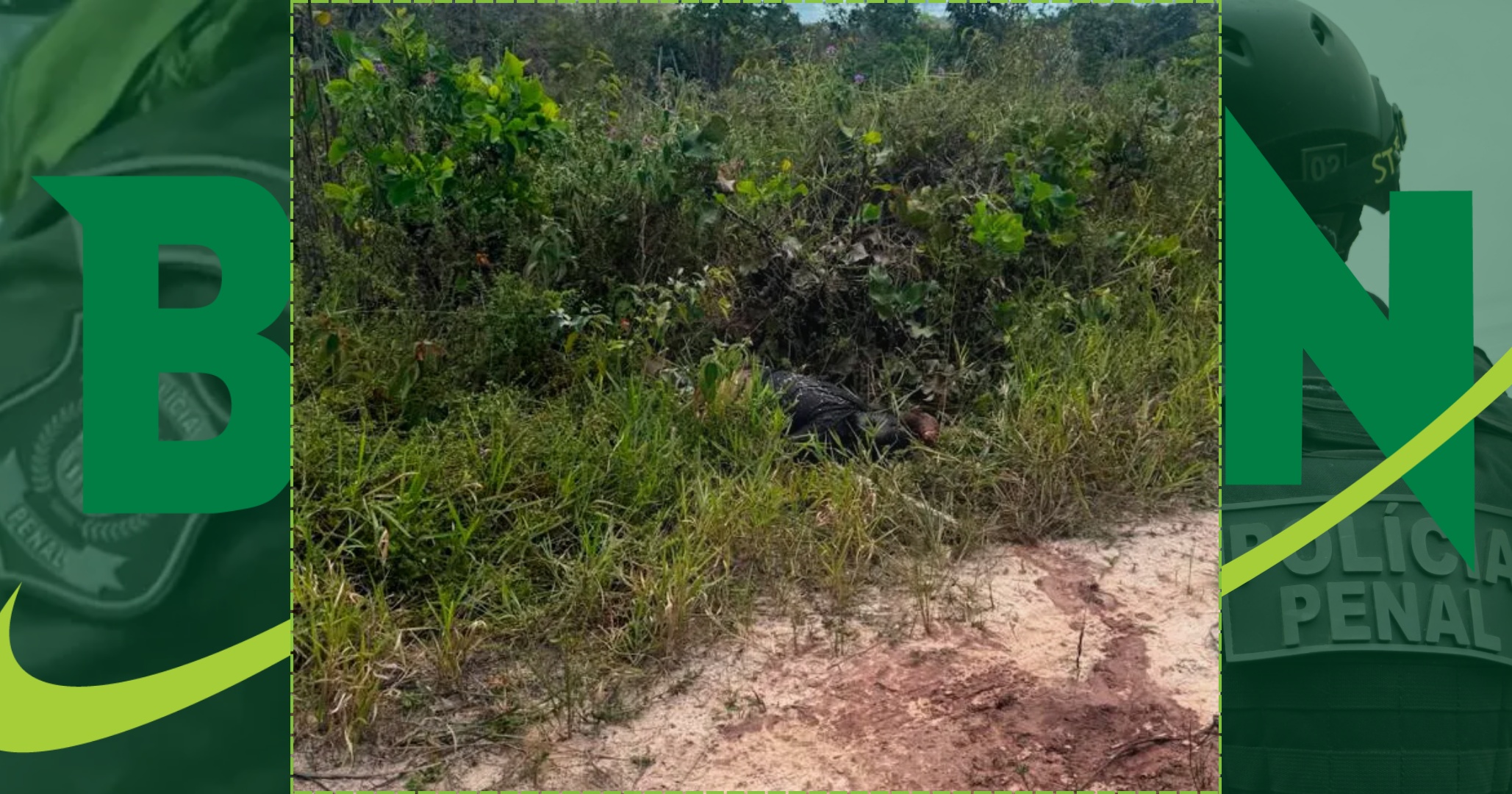 Corpo com marcas de tortura é achado e polícia investiga crime em Dias d'Ávila