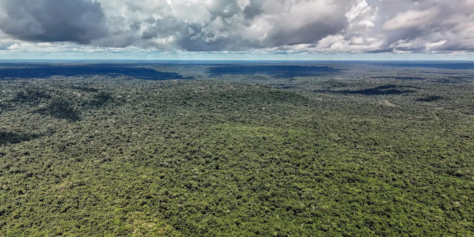 Fazenda autoriza US$ 1 bilhão em crédito para o Eco Invest Brasil