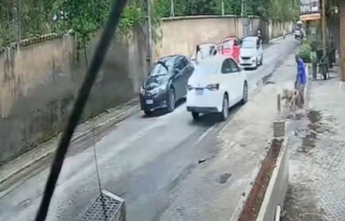 Pitbull escapa de carro após acidente de trânsito e ataca homem em cidade da Bahia