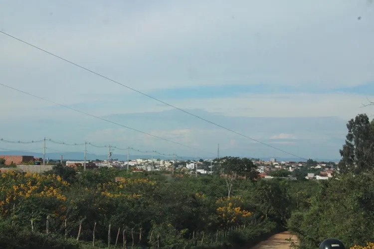 Ministério Público investiga desmatamento ilegal da Caatinga na Bahia