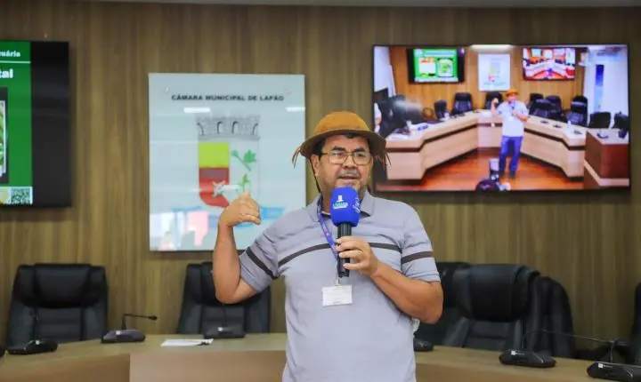 Abelhas no meio urbano é tema de palestra em Lapão