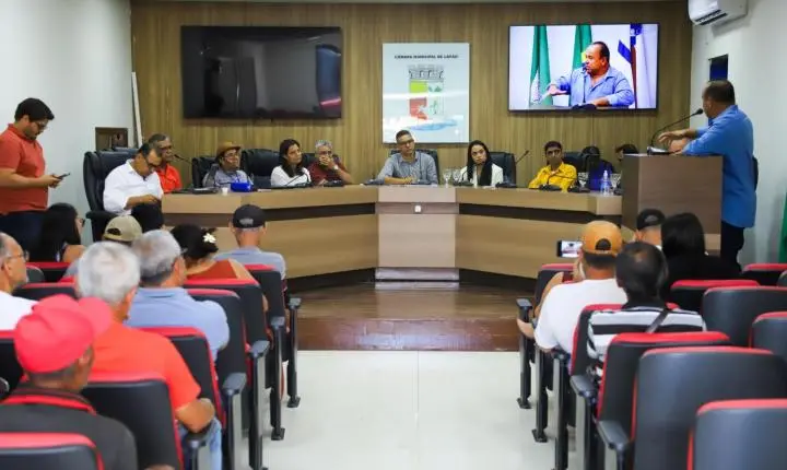 Abelhas no meio urbano é tema de palestra em Lapão