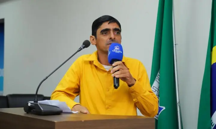 Abelhas no meio urbano é tema de palestra em Lapão