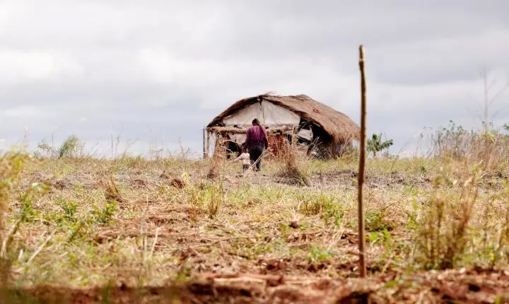 Conflitos no campo aumentam no Brasil, mas número de assassinatos cai, diz CPT