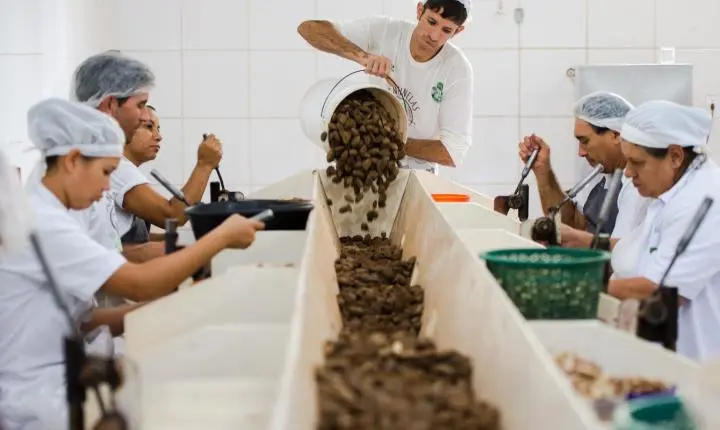 Consulta pública sobre bens sustentáveis no acordo Mercosul-UE encerra nesta quarta