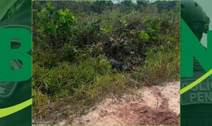 Corpo com marcas de tortura é achado e polícia investiga crime em Dias d'Ávila