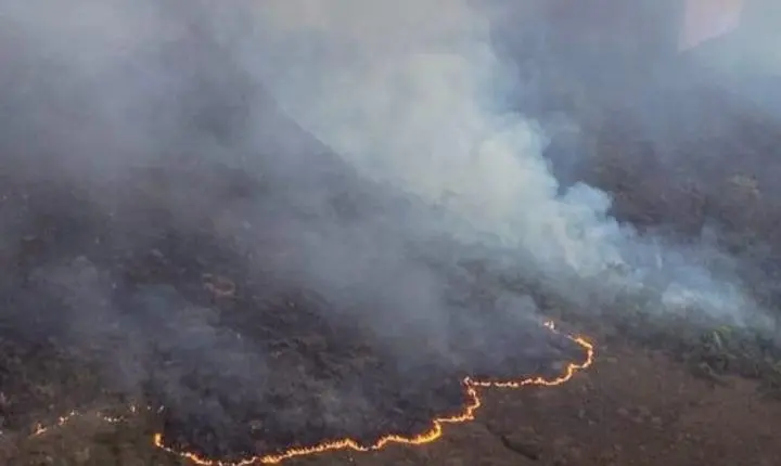 Incêndio de grandes proporções atinge área de serra no interior da Bahia