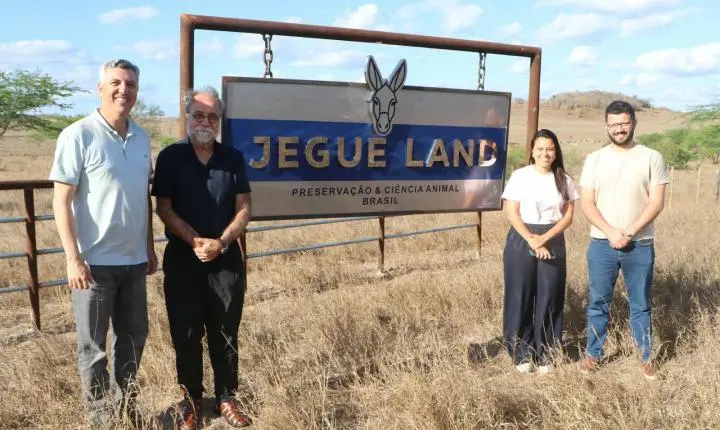 Jegue Land busca liderar criação de jumentos na Bahia, mas gera polêmica