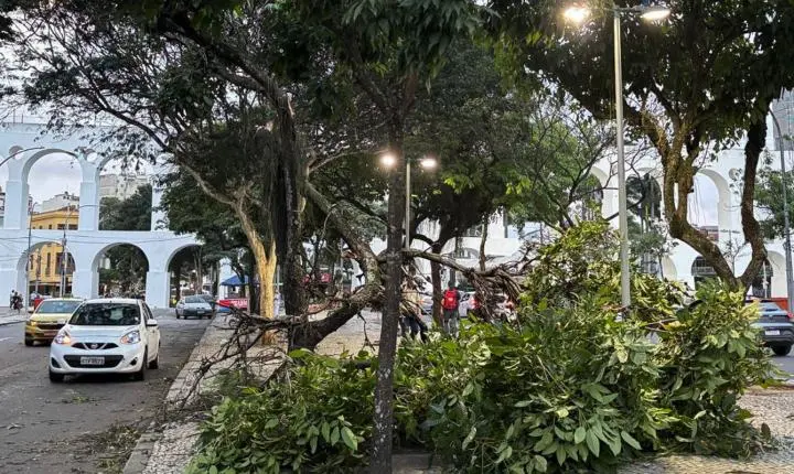 Meteorologistas descartam relação direta entre ventanias no Sudeste e o El Niño