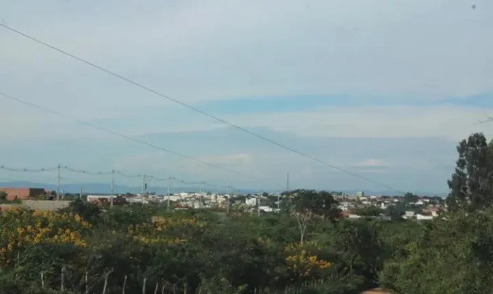 Ministério Público investiga desmatamento ilegal da Caatinga na Bahia