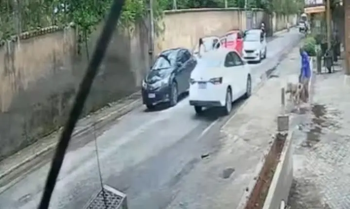 Pitbull escapa de carro após acidente de trânsito e ataca homem em cidade da Bahia
