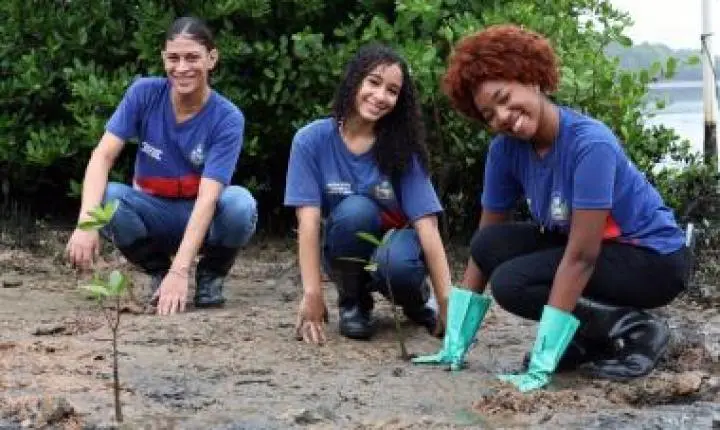 Sustentabilidade nos trilhos: ação de reflorestamento marca compromisso socioambiental do VLT